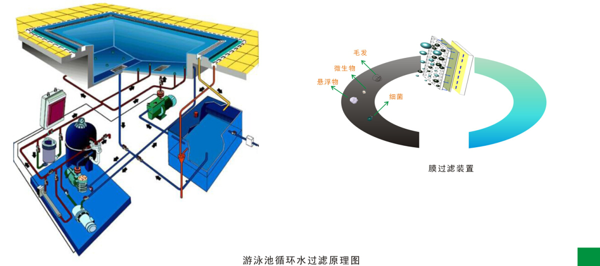 游泳池水循環凈化處理工程